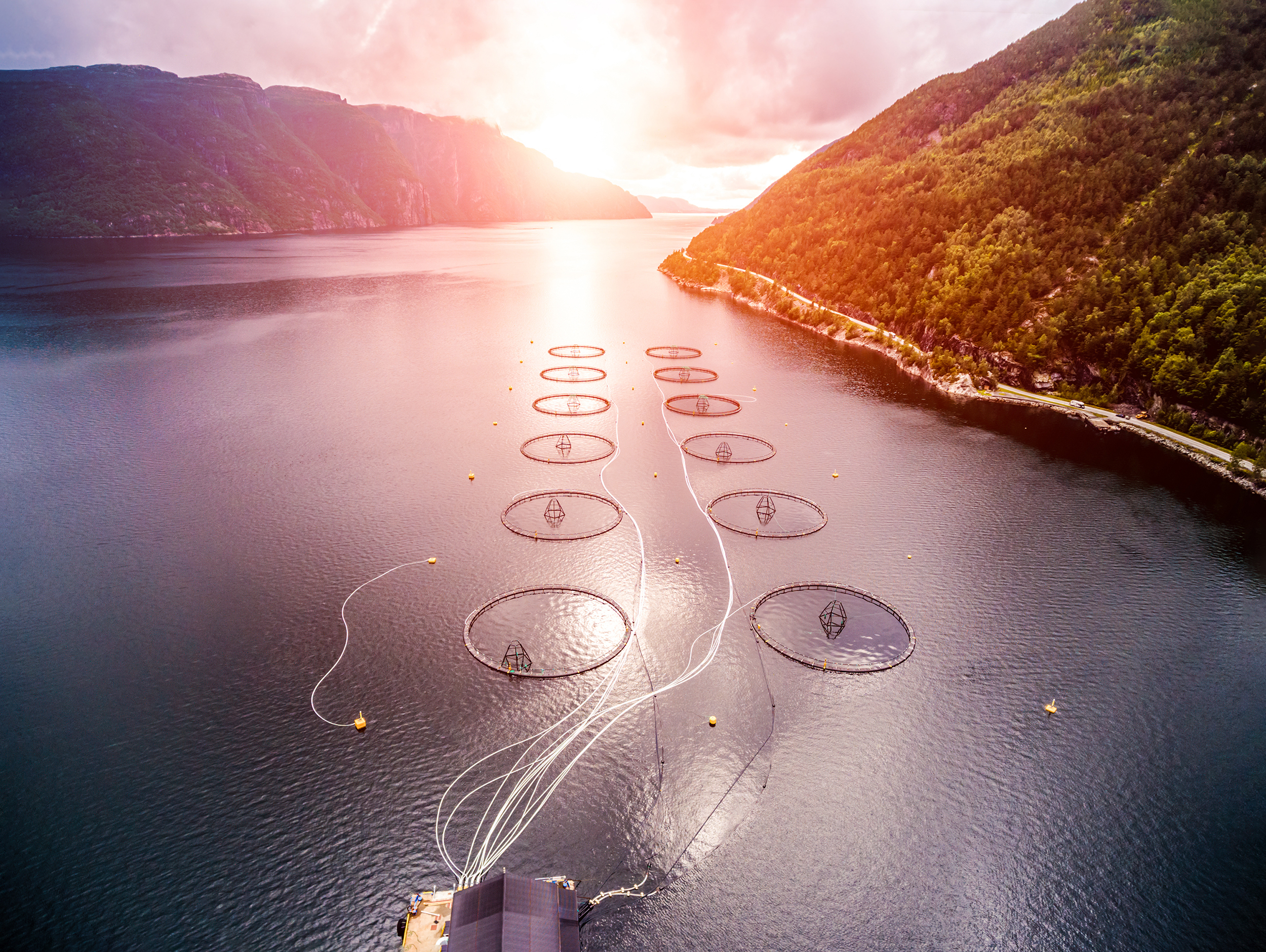 shutterstock_481553257 shutterstock_481553257